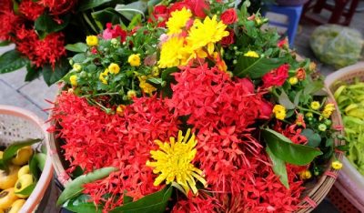Những loại hoa không nên thắp hương
